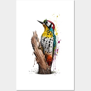 Woodpecker Posters and Art